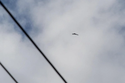 Drones Attack Five Settlements in Rostov Region