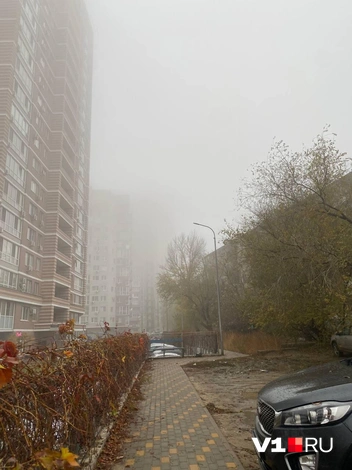 Так и хочется прогуляться здесь… | Источник: читатель V1.RU