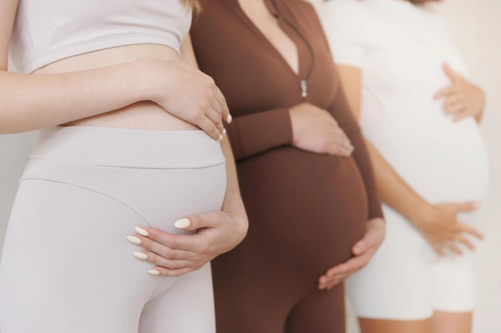 Источник: Parilov/Shutterstock/Fotodom.ru