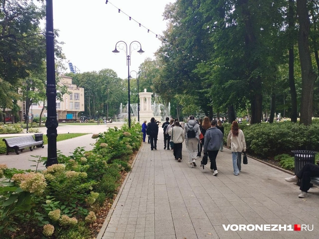 Источник: Дмитрий Волгин / Voronezh1.ru