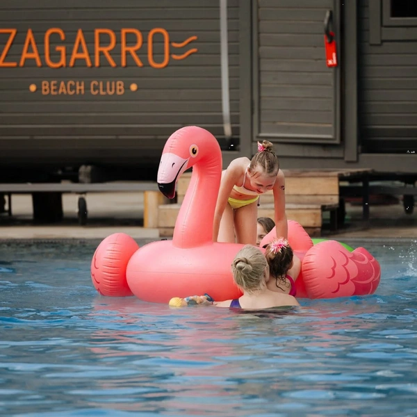 Источник: zagarro.ru