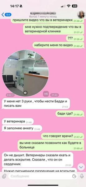 Но вскоре Мария не смогла участвовать в разговоре из-за нахлынувших чувств | Источник: Родион Проводин