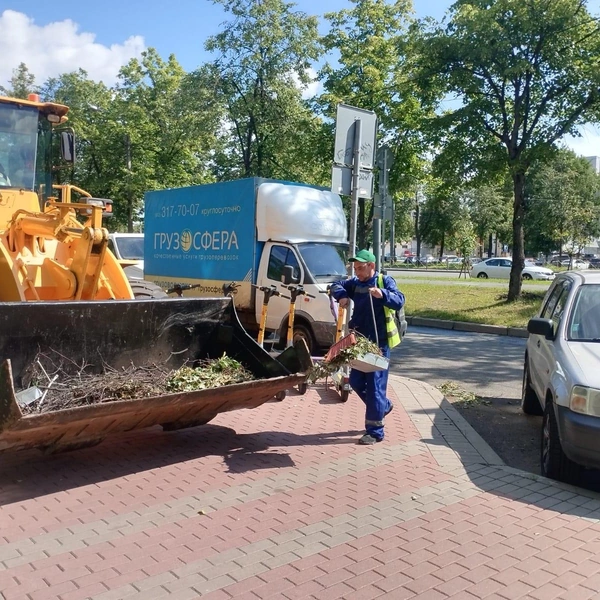 Источник: Комитет по благоустройству Санкт-Петербурга