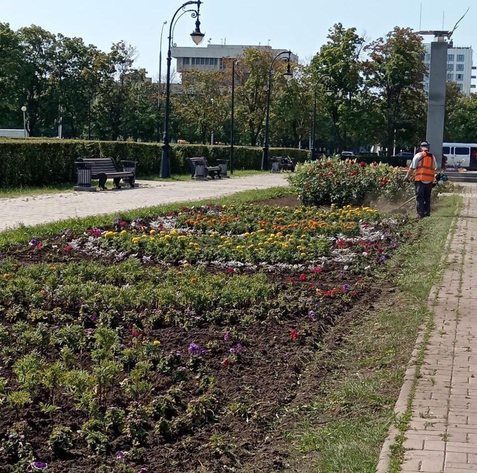 В Тольятти к подготовке к фестивалю «Рыба моя» привлекли судимых