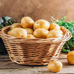 Польза и вред картофеля для здоровья и красоты