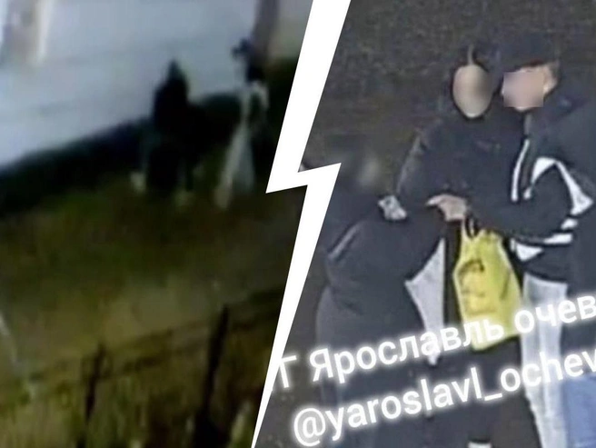Видео нападения в Ярославле | Источник: Ярославль Очевидец / Telegram
