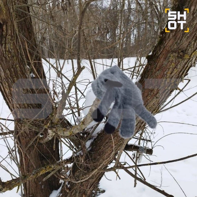 У озера нашли перчатку  | Источник: SHOT / Telegram 