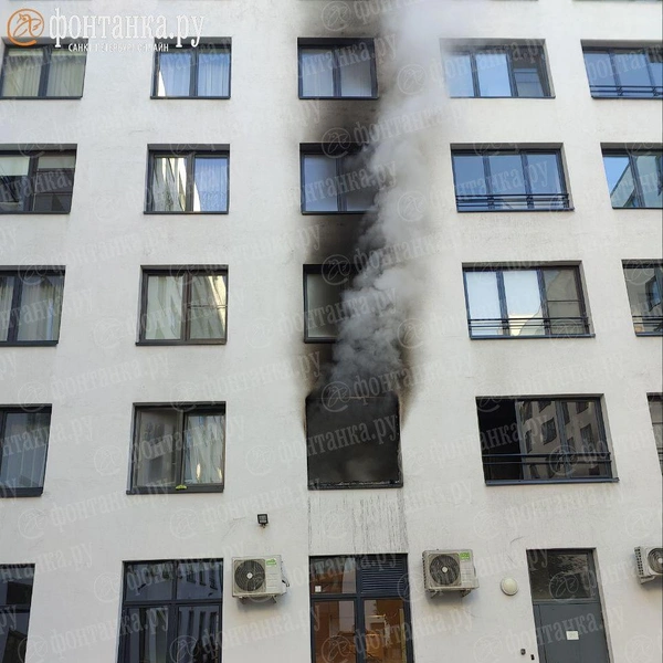 Обстановка на месте происшествия | Источник: читатель «Фонтанки»