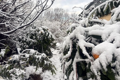Сочи: основные последствия непогоды устранены, но села без света