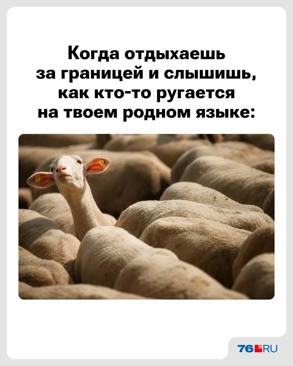 Признавайтесь, кто? | Источник: Городские медиа