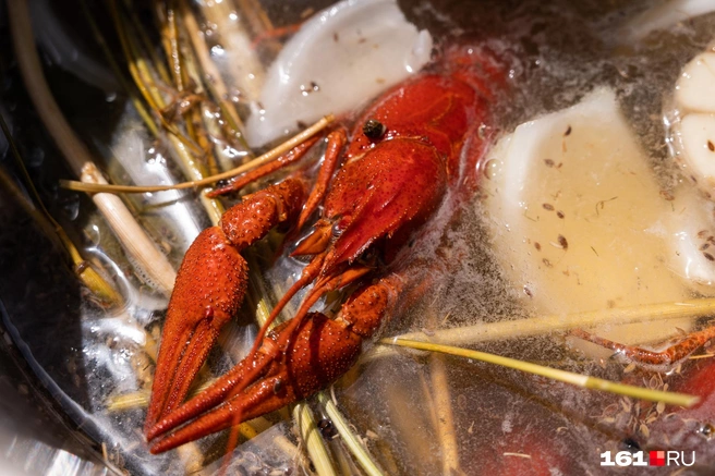 Источник: Евгений Вдовин / 161.RU