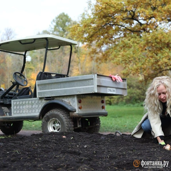 Источник: Сергей Михайличенко / «Фонтанка.ру»