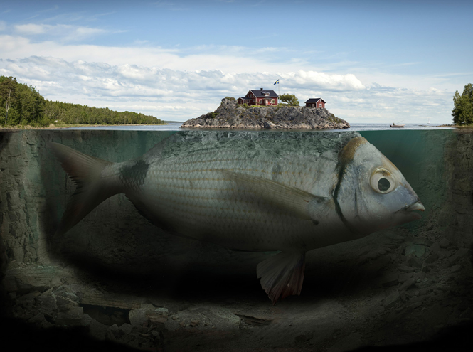 На грани сна и реальности: 5 фотографов, которые заставят вас по-новому взглянуть на мир