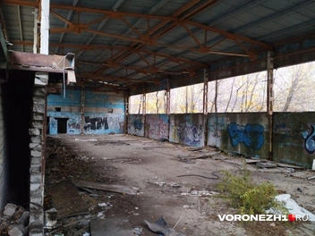 Источник: Дмитрий Волгин / Voronezh1.ru