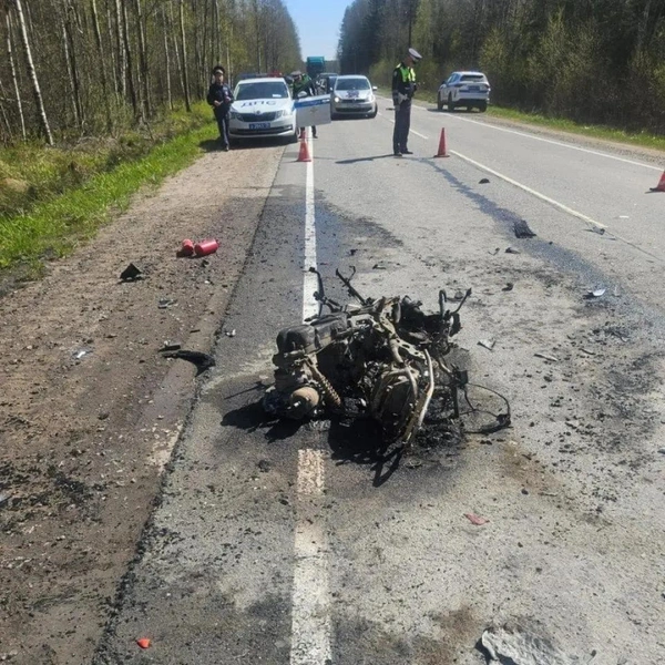 Источник: МВД