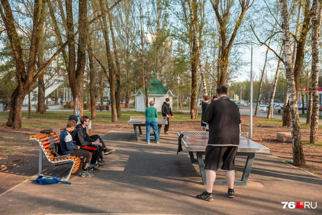 Столы для настольного тенниса пользуются популярностью | Источник: Александр Куренной / 76.RU