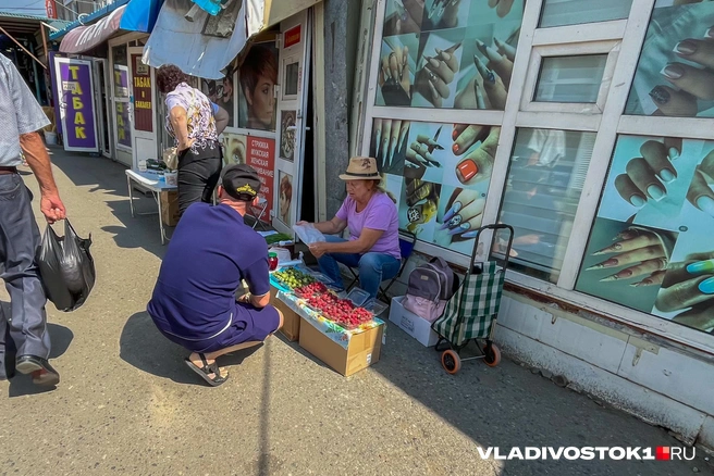 Источник: Елена Буйвол / VLADIVOSTOK1.RU