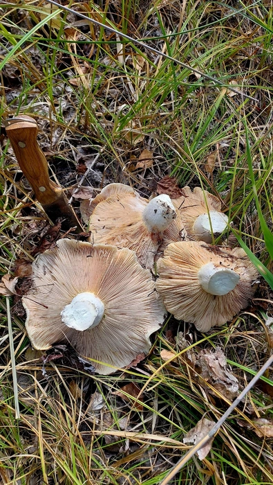 Источник: Вадим Чугунов