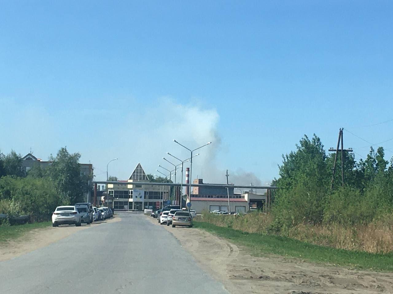 Боровск работа вакансии. Боровская птицефабрика. Птицефабрика Боровская фото. Боровская птицефабрика Курган.