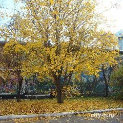 ЕДДС рекомендует заблаговременно принять меры предосторожности в связи с ожидаемым усилением ветра | Источник: www.city-n.ru