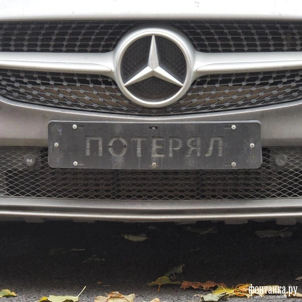 Источник: Михаил Огнев / «Фонтанка.ру»