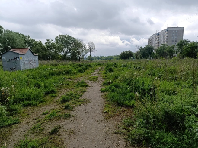 Внешний вид территории до начала работ по благоустройству | Источник: Стас Соколов / NGS.RU