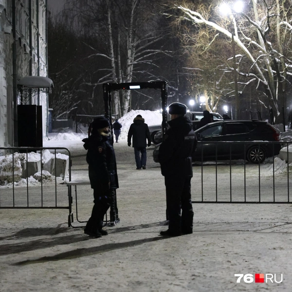 На входе в парк установили металлические рамки | Источник: Артем Бауман / 76.RU