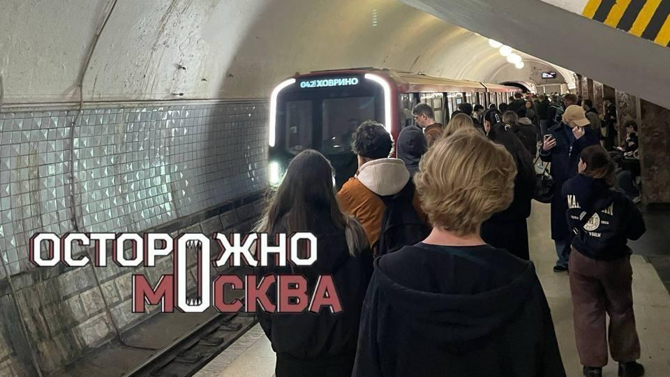 В метро Москвы случился сбой: человек упал на рельсы
