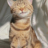 userpic__Киса