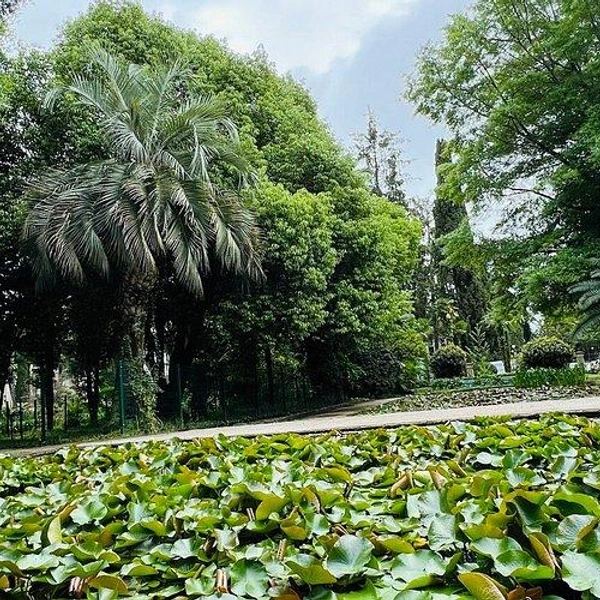 Источник: tripadvisor.ru