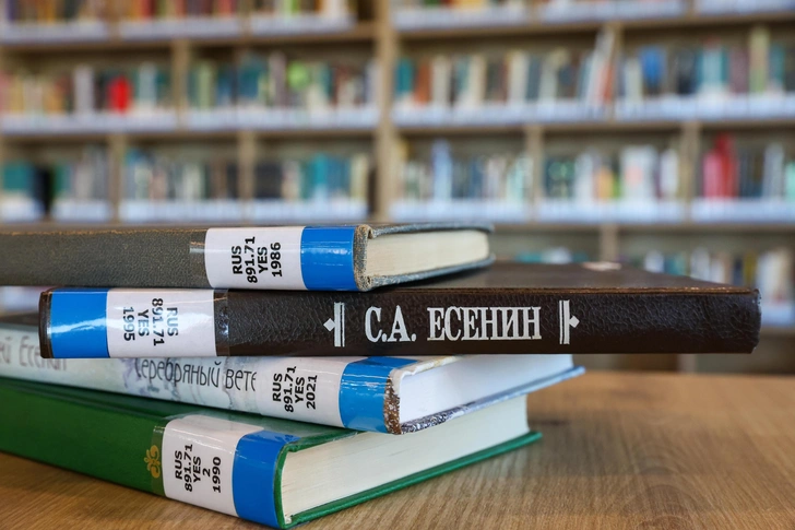 Эксперты назвали самое длинное слово в русском языке | Источник: Рюмин Александр/ТАСС