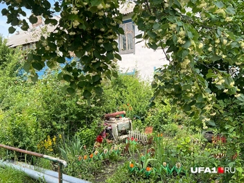 Уютно | Источник: Андрей Бирюков / UFA1.RU