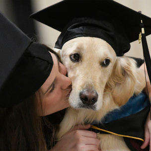 Самый милый студент: в США собака получила диплом магистра