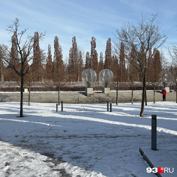 Деревья уже укрыли на зиму | Источник: Екатерина Подымова / 93.RU