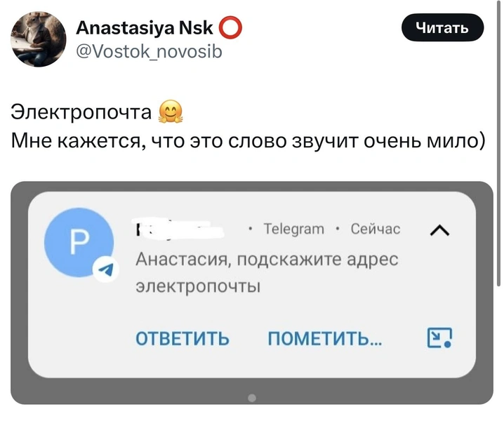 Источник: X (Twitter)