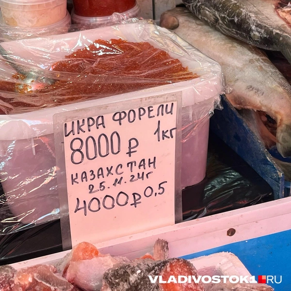 Источник: Елена Буйвол / VLADIVOSTOK1.RU
