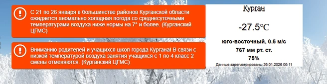 В Кургане утром 26 января было -27,5° | Источник: kurganpogoda.ru
