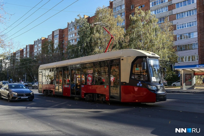 Пока нововведение работает на лишь некоторых маршрутах | Источник: Наталья Бурухина / NN.RU
