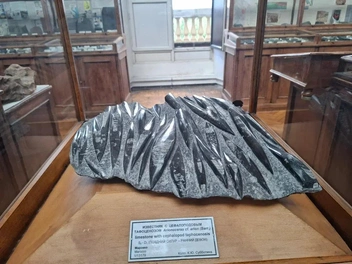 Источник: Ирина Багликова