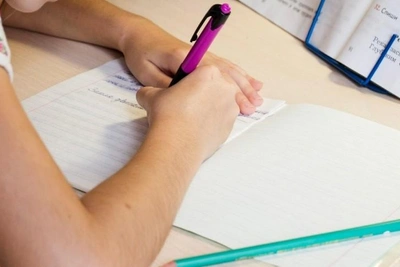 Уфимцы критикуют школьные электронные дневники