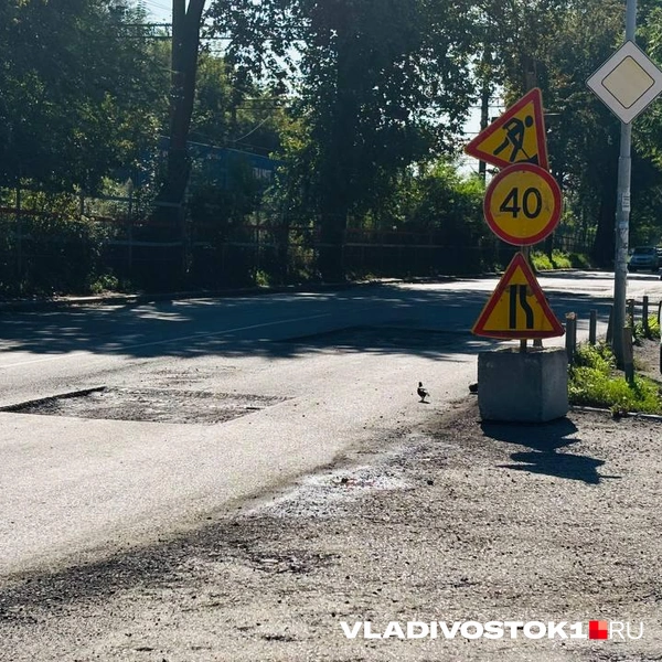 Источник: Елена Буйвол / VLADIVOSTOK1.RU