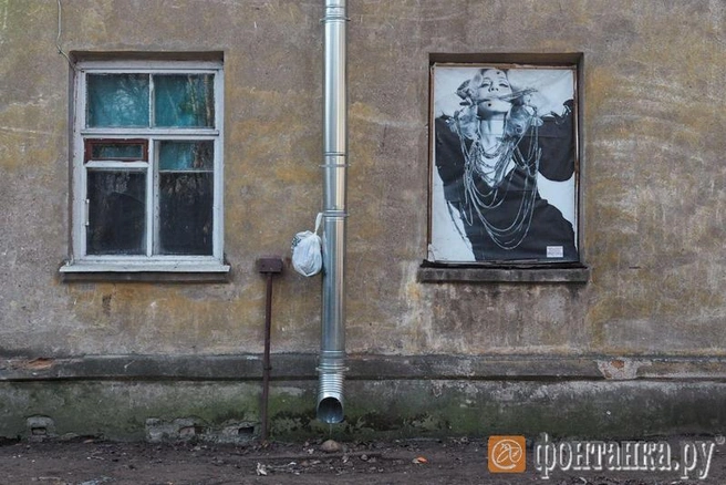 Источник: автор фото Михаил Огнев/«Фонтанка.ру»