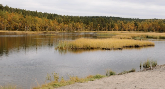 Спорткомплекс «Снежинка» | Источник: Дарья Яремчук