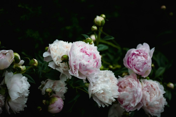 Источник: unsplash