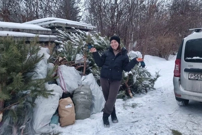 Voronezh urges residents to recycle Christmas trees