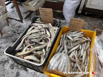 Источник: Елена Буйвол / VLADIVOSTOK1.RU