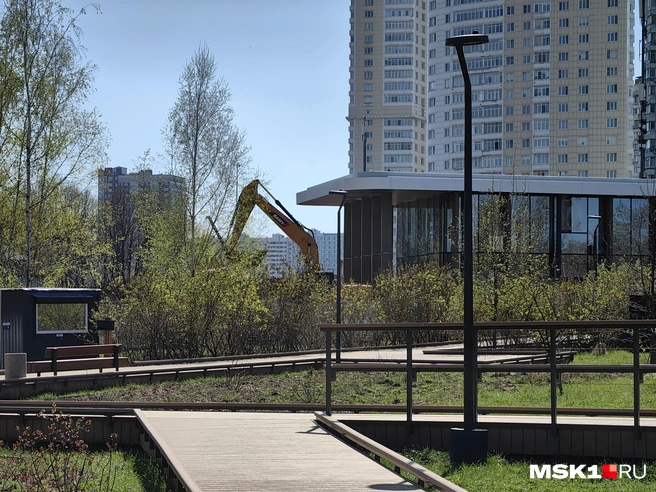 Благоустройство «Крылатских холмов»&nbsp;— люди могут ходить лишь по экотропам | Источник: Дмитрий Бондарев / MSK1.RU