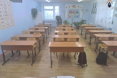 Krasnoyarsk residents defend girl who attacked school with knife