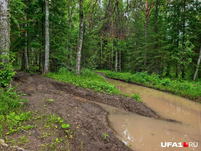 Колея наполнилась дождевой водой | Источник: Булат Салихов / UFA1.RU