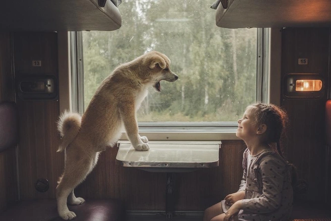 «Двое в купе» | Источник: Андрей Сердюченко / Russian Photo Expo